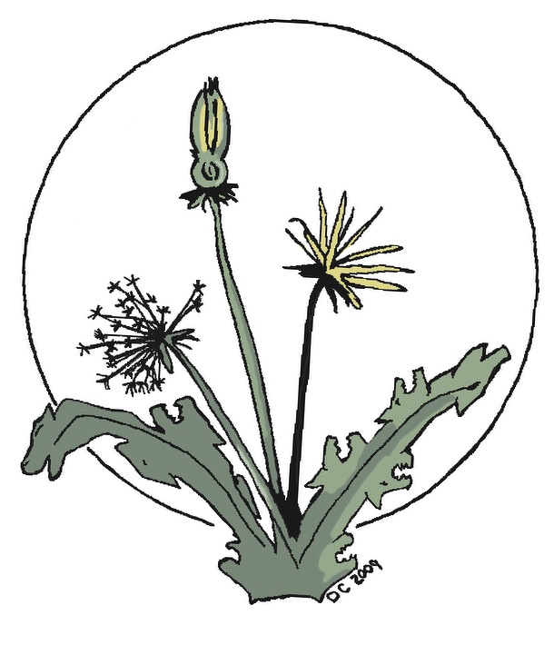 Dandilion Tattoo